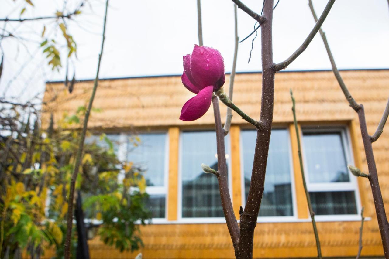 Casa Cu Magnolii Hotel โปเยนิเลซี ภายนอก รูปภาพ